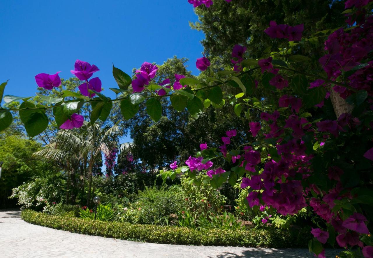 Villa Pampalone - B&B In Dimora Storica Τράπανι Εξωτερικό φωτογραφία