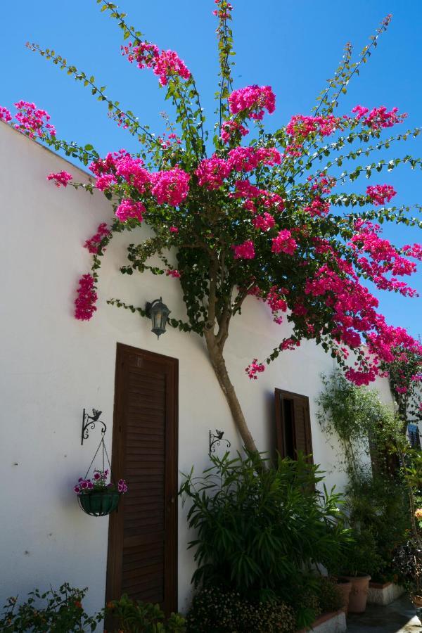 Villa Pampalone - B&B In Dimora Storica Τράπανι Εξωτερικό φωτογραφία