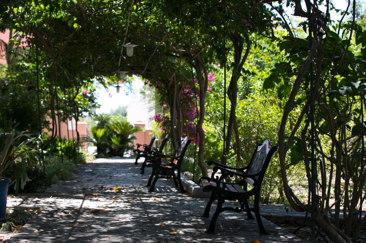Villa Pampalone - B&B In Dimora Storica Τράπανι Εξωτερικό φωτογραφία