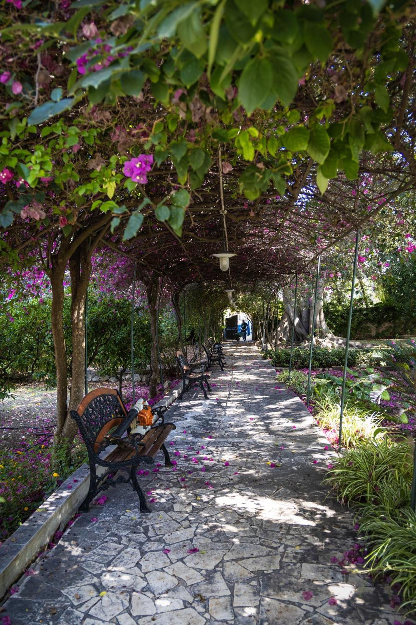 Villa Pampalone - B&B In Dimora Storica Τράπανι Εξωτερικό φωτογραφία